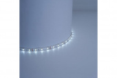 Лента светодиодная 16Вт/м 24В 6000К IP20 180LED/м LS502 Светодиодные ленты - Лампа