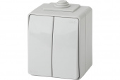 Выключатель 2-кл. Эксперт 10А IP65 11-1604-03 250В 10AX (10/100/1600) сер. Эра Б0035976 Эра - Лампа
