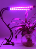 Светильник светодиодный LED 4Вт для растений на прищепке с таймером Feron Светильники для растений - Лампа